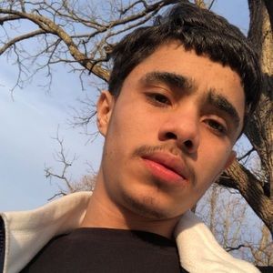 Meet your Posher, Walter